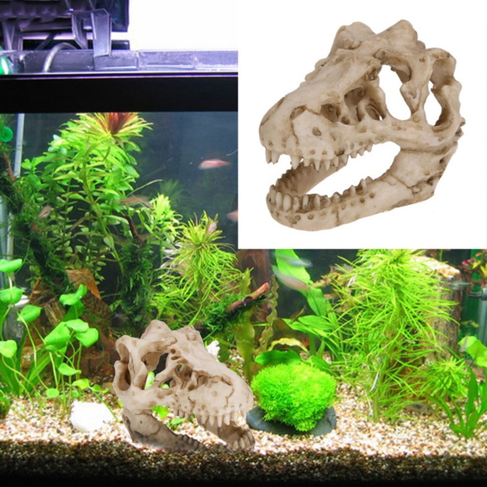 Aquarium Fish Hideout - Creatieve Simulatie Dinosaurus Schedel Escape House