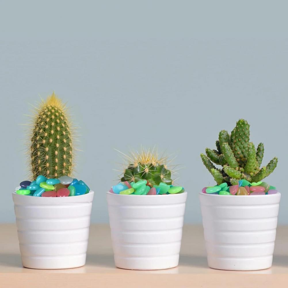 Aquarium Fish That Glow In The Dark - Glow-in-the-dark harsstenen, lichtgevende stenen voor tuin,