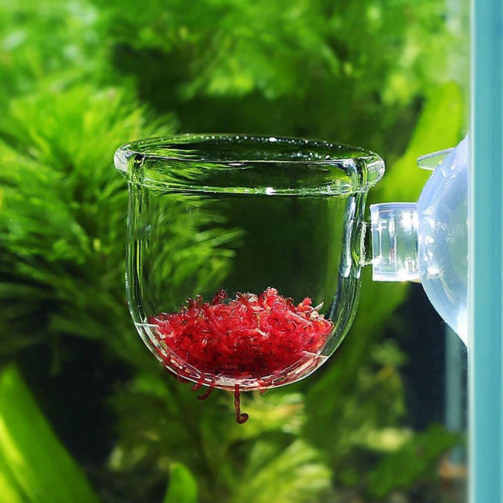 Aquarium Fish Beautiful - Plantenhouder voor aquarium, transparante acryl aquarium