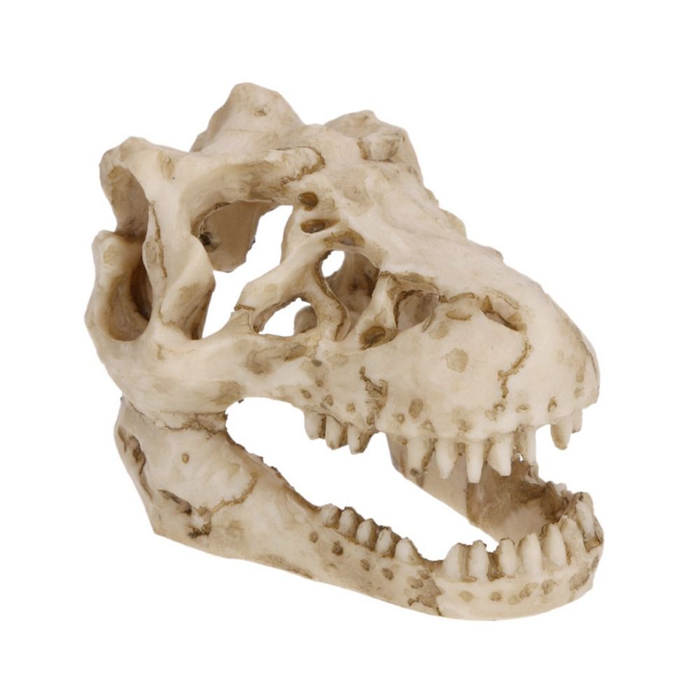 Creatieve Simulatie Dinosaurus - Aquarium Fish Hideout recensie en prijs
