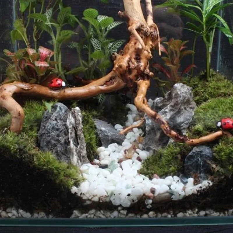 Natuurlijke Boomstam Drijfhout - Aquarium Fish Cartoon recensie en prijs
