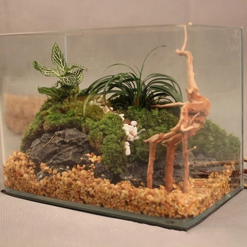 Natuurlijke Boomstam Drijfhout - Aquarium Fish Cartoon recensie en prijs
