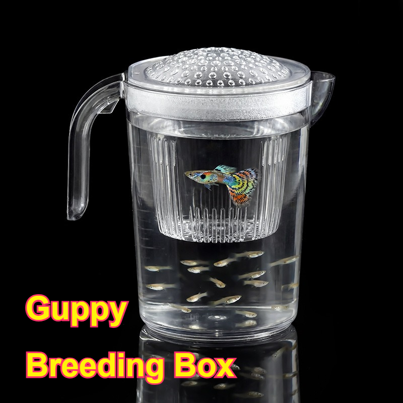 Viskweekbakje voor kleine gupp - Aquarium Fish Delivery recensie en prijs