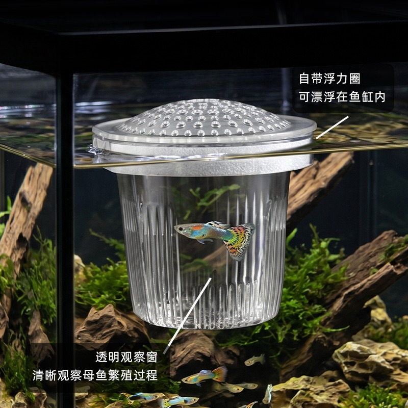 Viskweekbakje voor kleine gupp - Aquarium Fish Delivery recensie en prijs