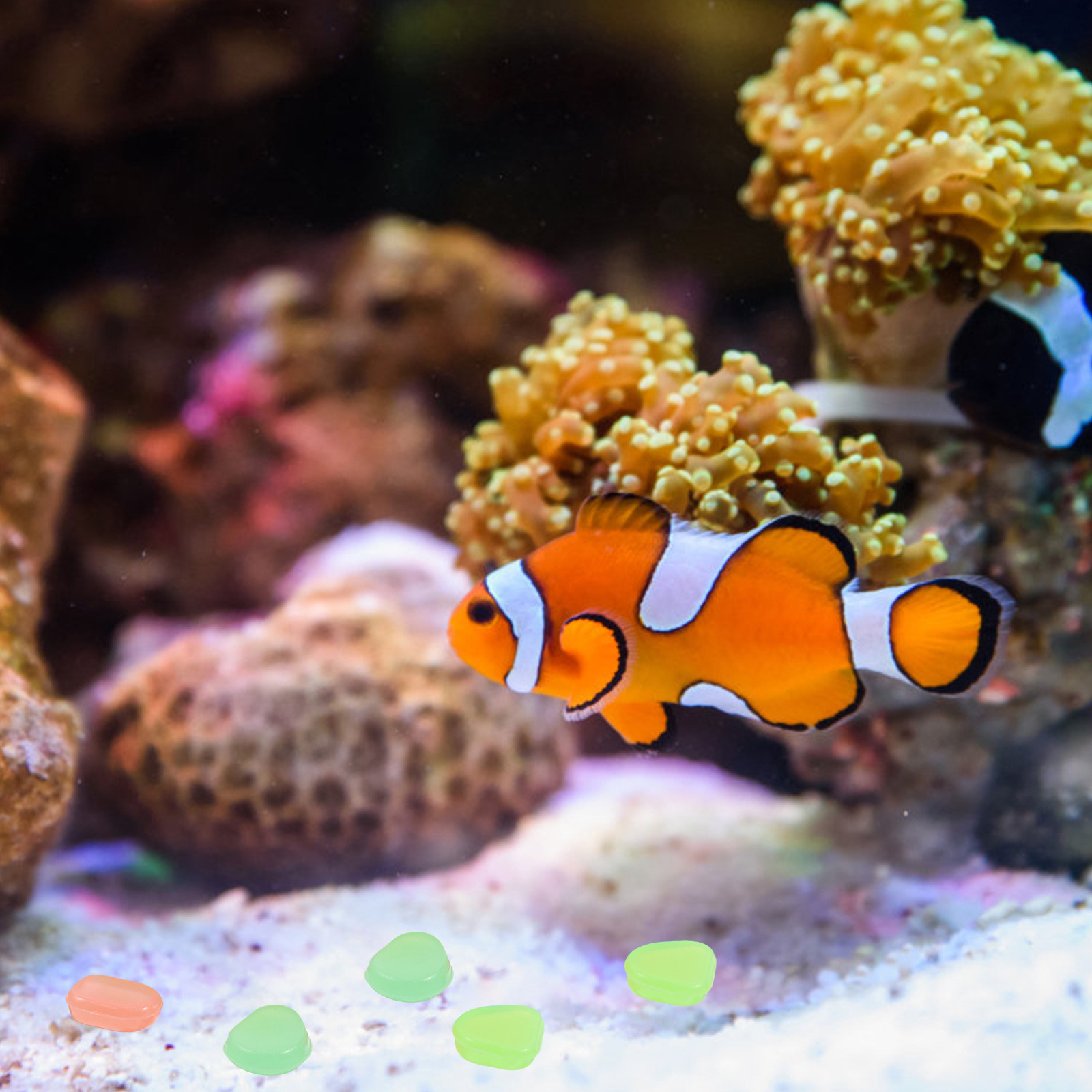 400 stuks gloeiende nachtkieze - Aquarium Fish That Glow In The Dark recensie en prijs