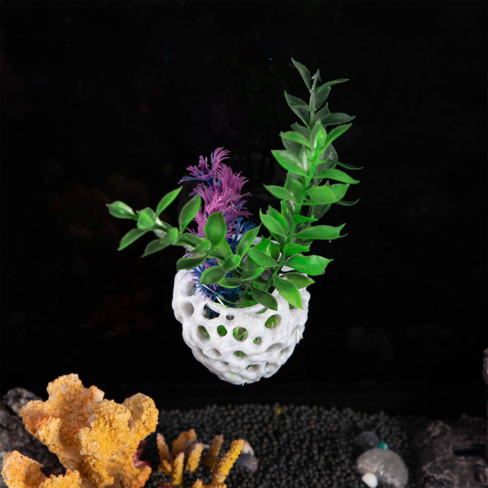 Klein aquarium garnalenhuisje  - Aquarium Fish Hiding Spot recensie en prijs