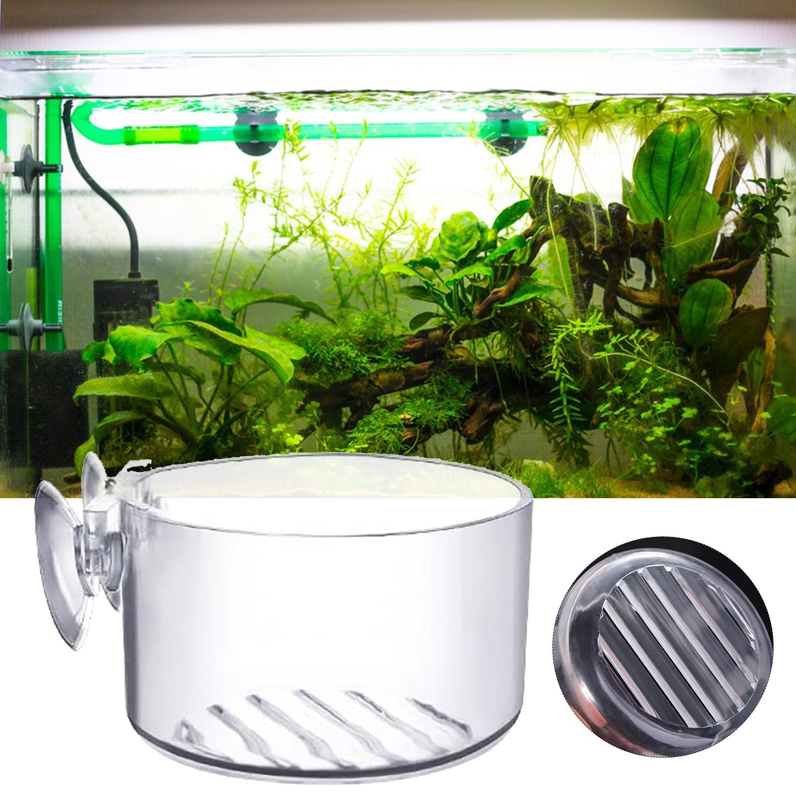 Aquariumdecoratie Plantenpot A - Aquarium Fish Beautiful recensie en prijs