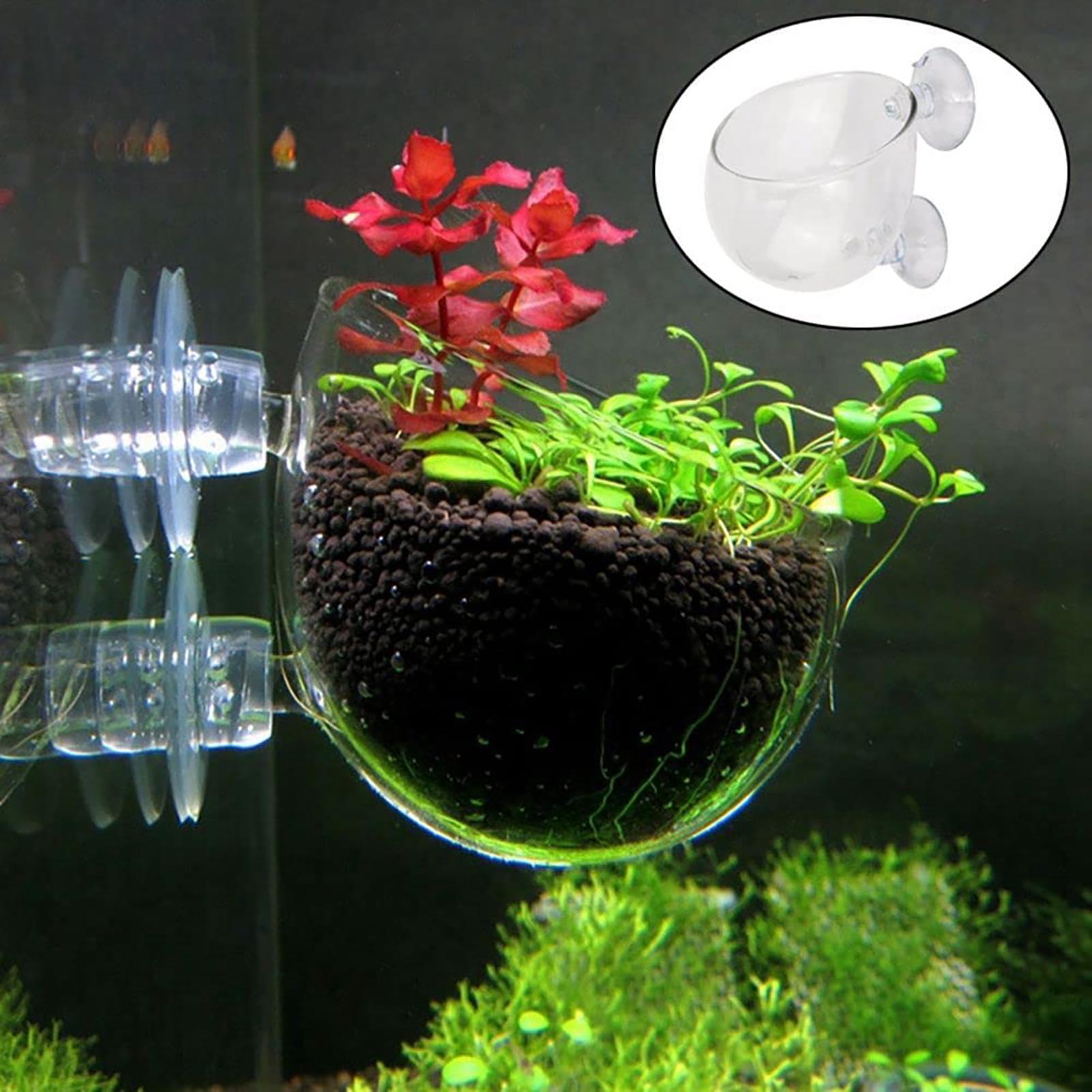 Aquatische plantenbekers Pot m - Aquarium Fish Beautiful recensie en prijs