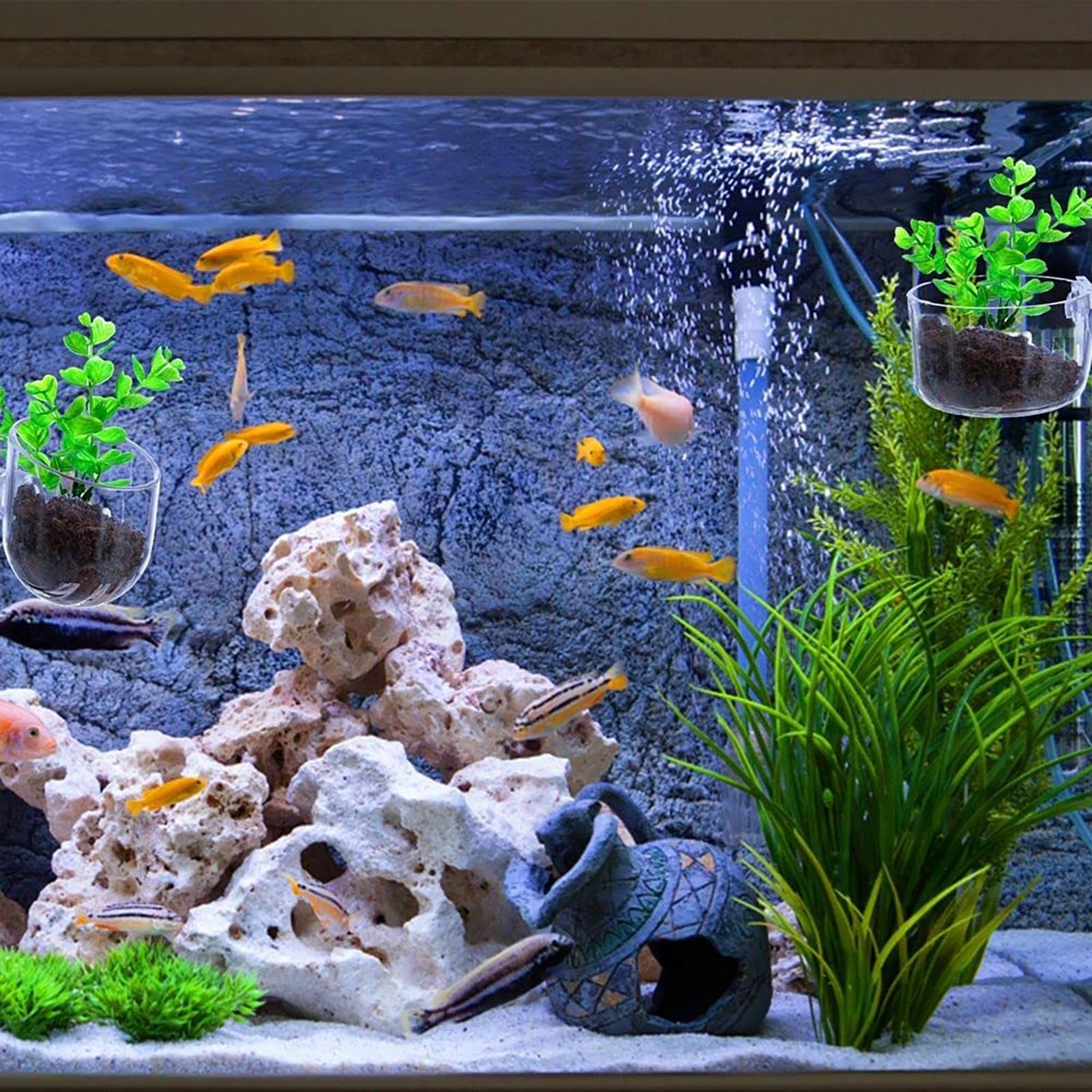 Acryl aquariumplantenpotten Aq - Aquarium Fish Beautiful recensie en prijs