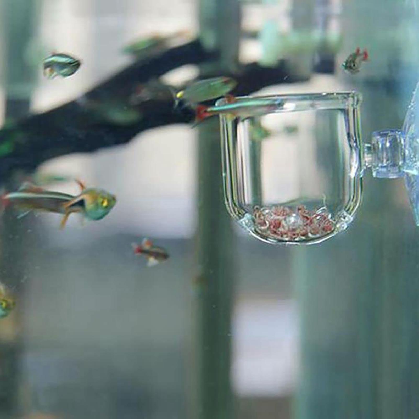Acryl aquariumplantenpotten Aq - Aquarium Fish Beautiful recensie en prijs