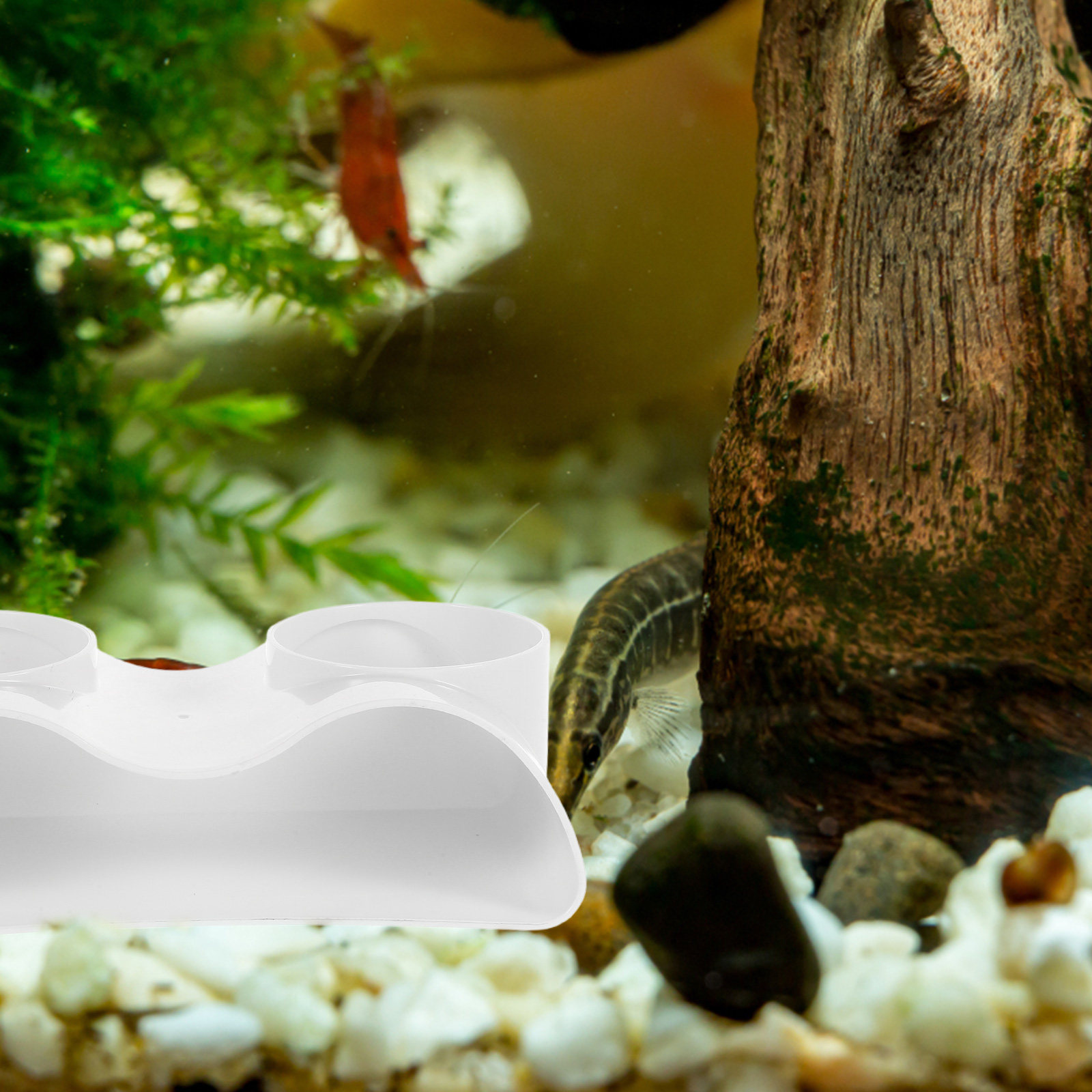 Aquarium Tunnel Grotdecoratie  - Aquarium Fish Hiding Spot recensie en prijs