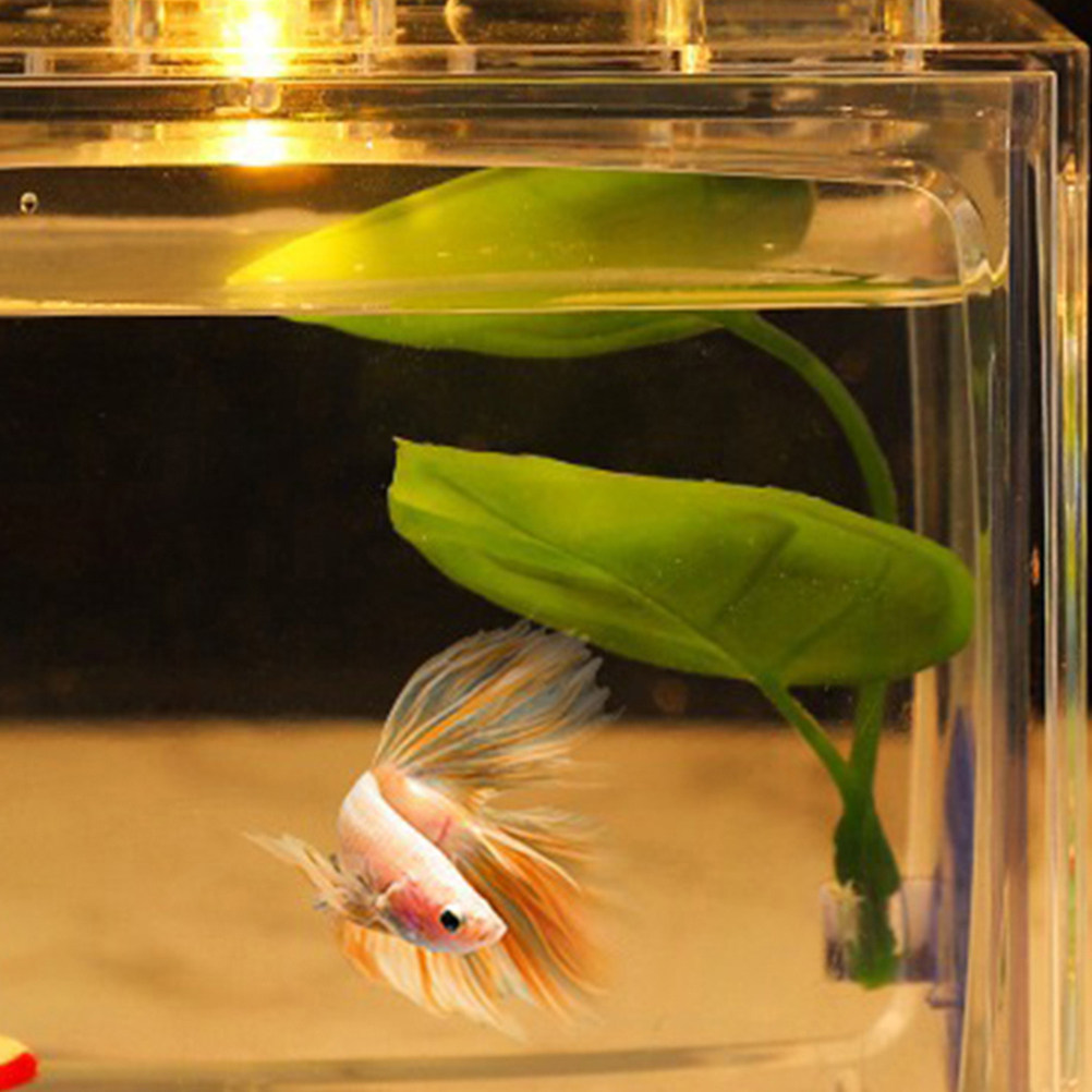 2 stuks Betta blad slaaphangma - Aquarium Fish Hiding Spot recensie en prijs