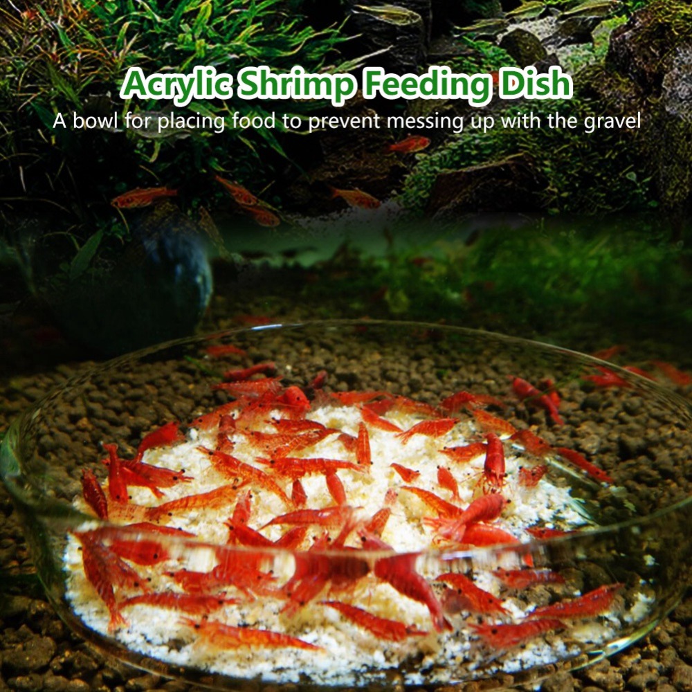 Acryl Garnalenvoederbakje Tran - Aquarium Fish Beautiful recensie en prijs