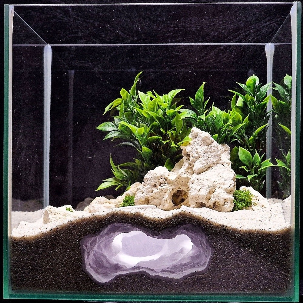 Hoogrealistisch gedetailleerd  - Aquarium Fish Hideout recensie en prijs