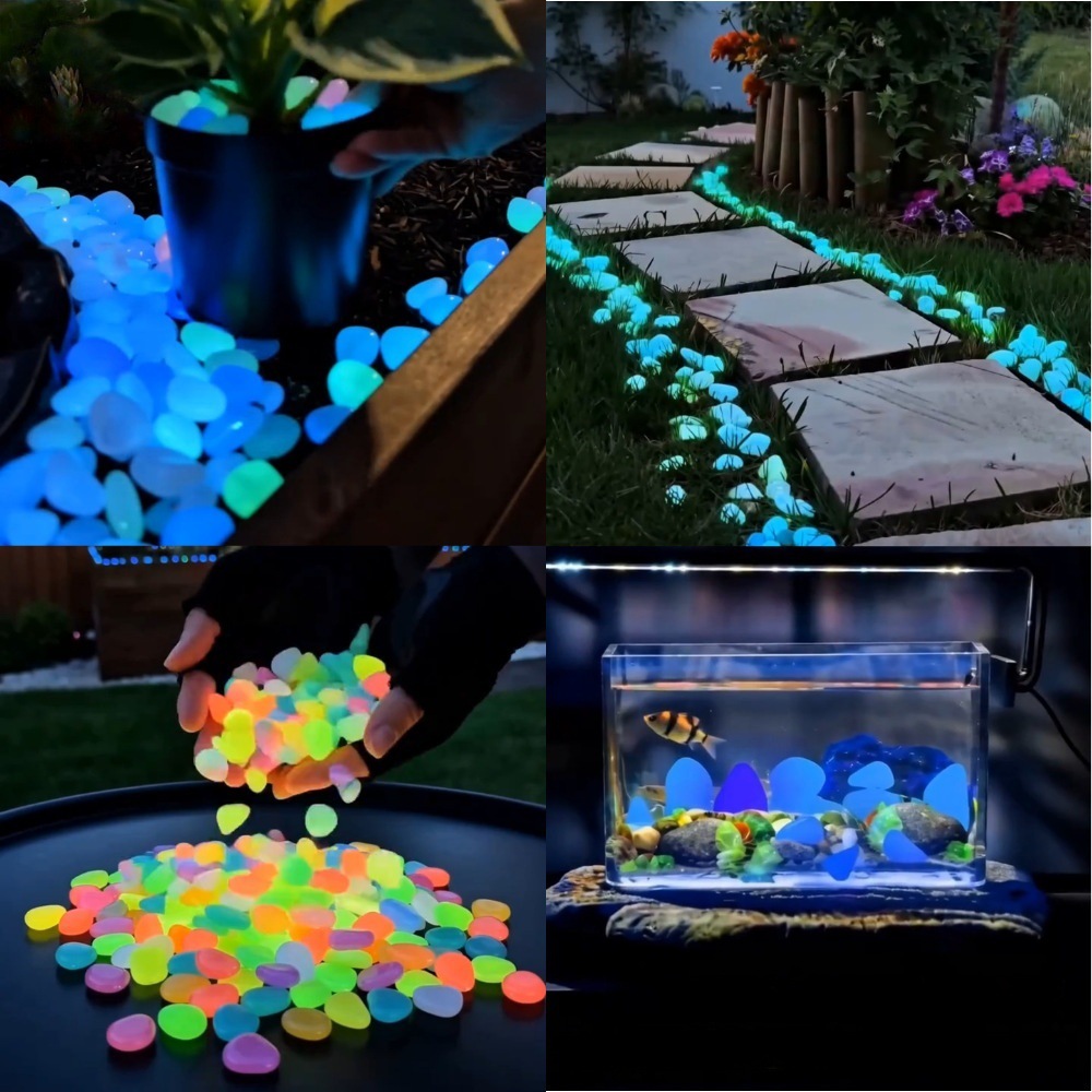 Kleurrijke, in het donker gloe - Aquarium Fish Cartoon recensie en prijs
