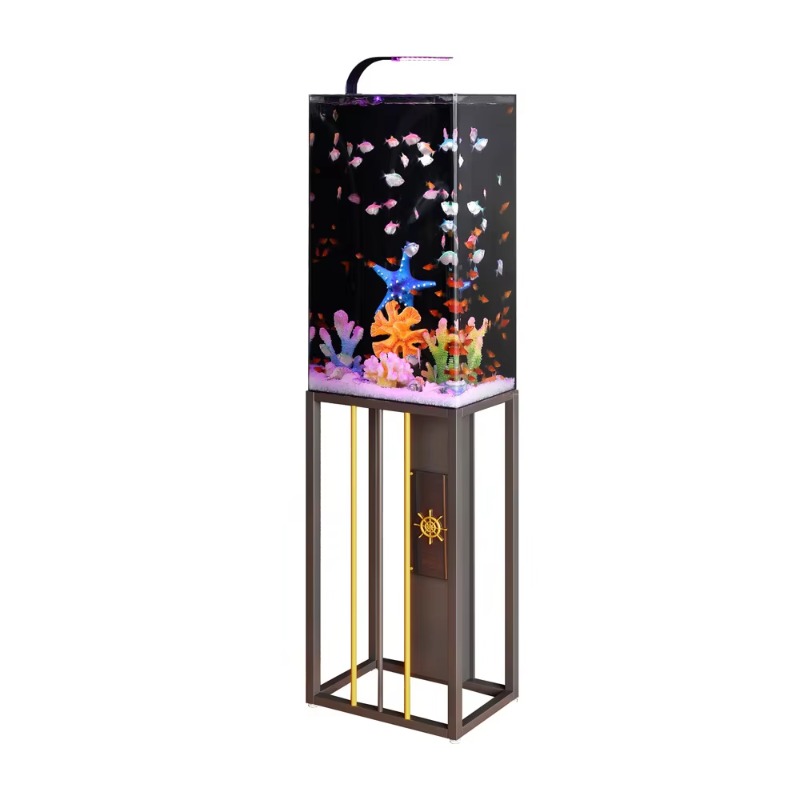 2026 Acryl Aquarium Groot en M - Aquarium Fish Beautiful recensie en prijs