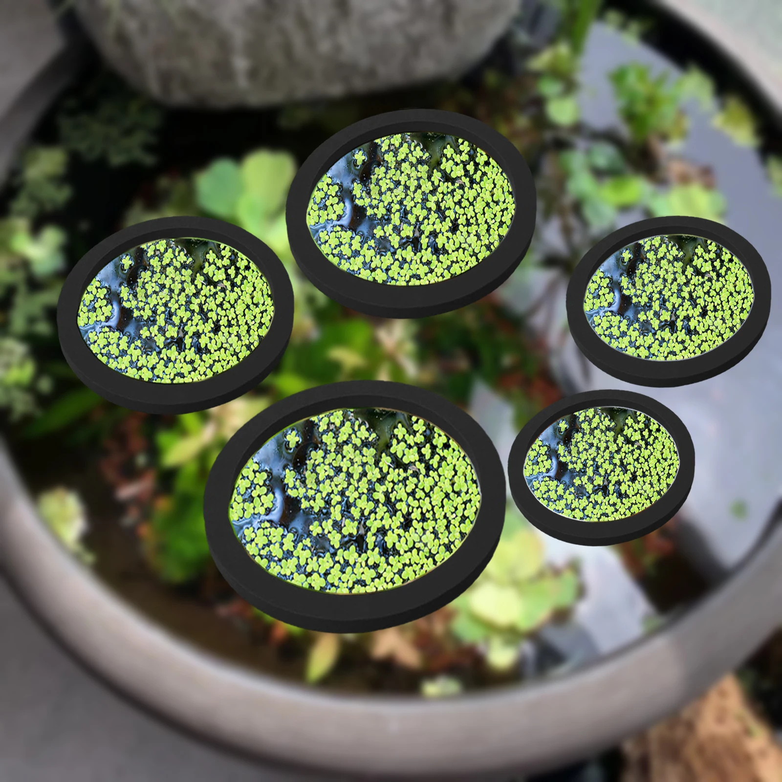 5 stks EVA Vis Voeden Ring Aqu - Aquarium Fish In Pond recensie en prijs