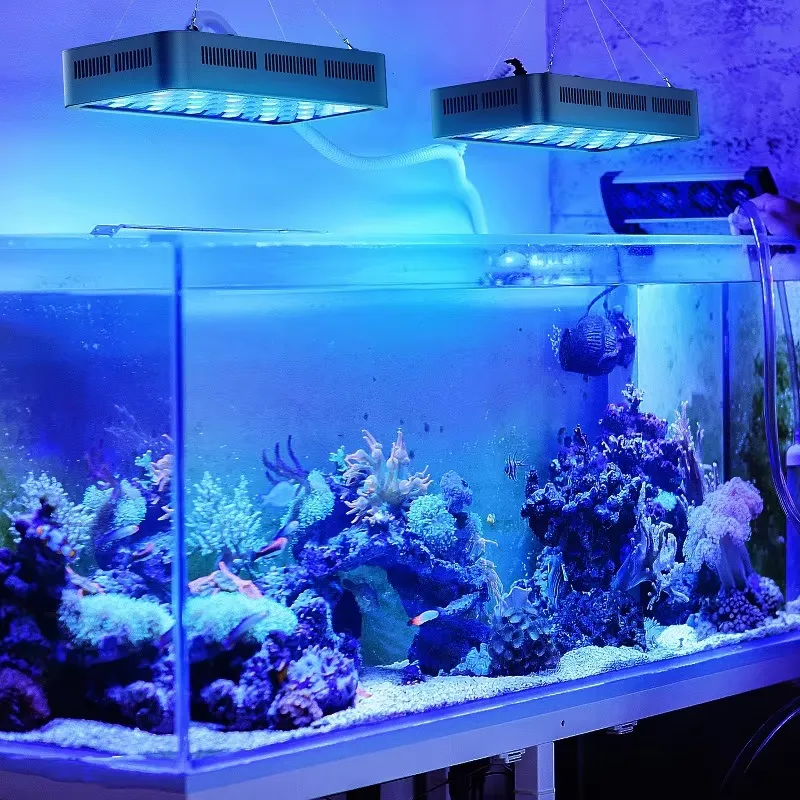 Wifi APP besturing koraalrif 1 - Aquarium Fish App recensie en prijs
