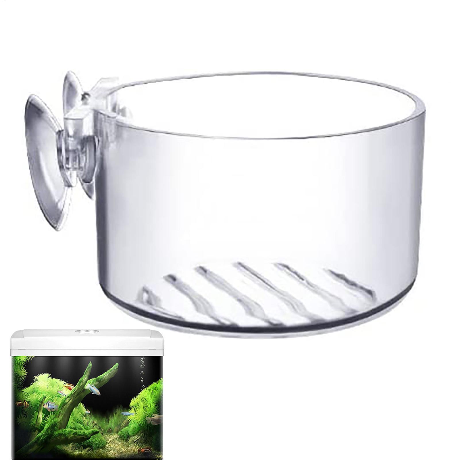 Zuignap aquarium plantenhouder - Aquarium Fish Beautiful recensie en prijs