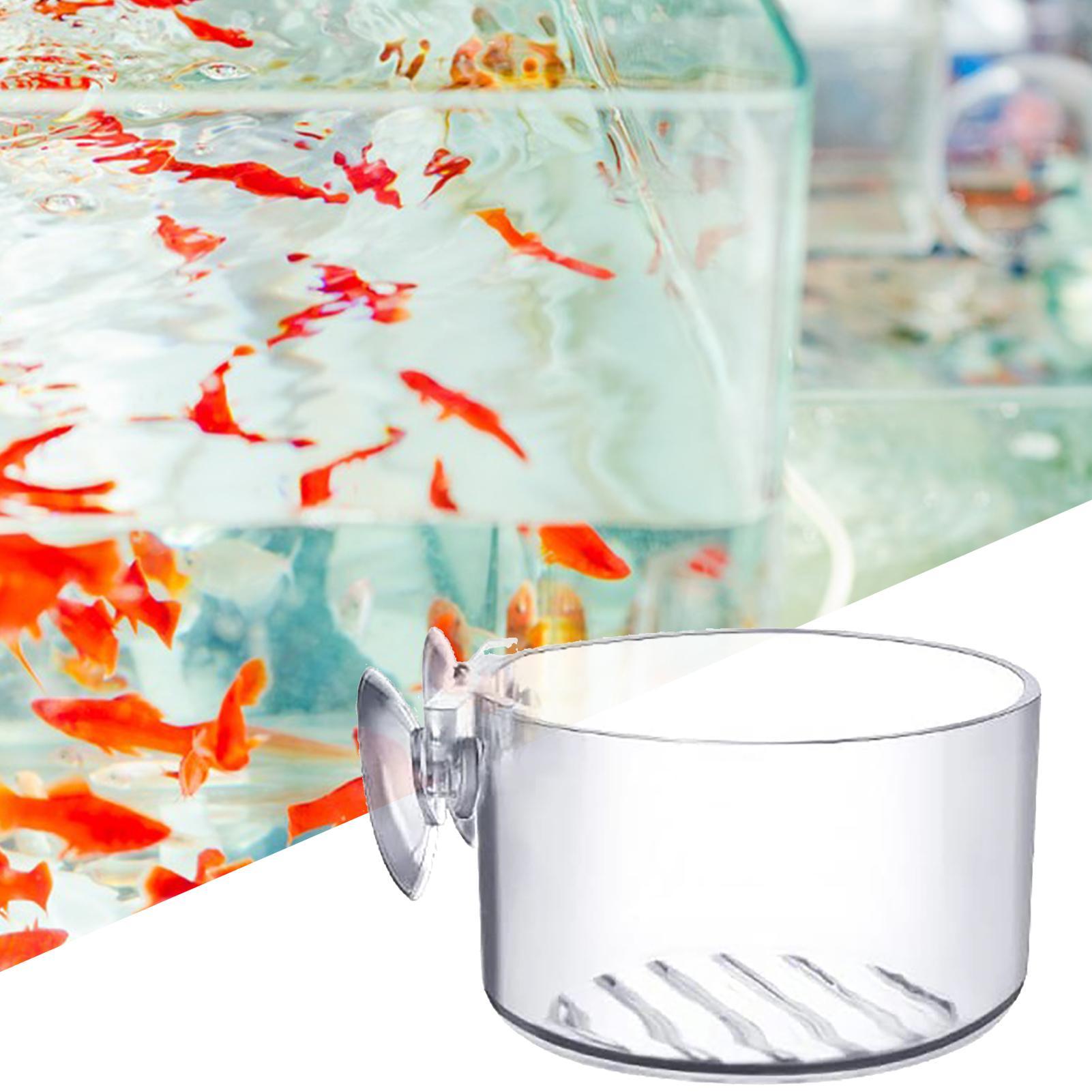Zuignap aquarium plantenhouder - Aquarium Fish Beautiful recensie en prijs