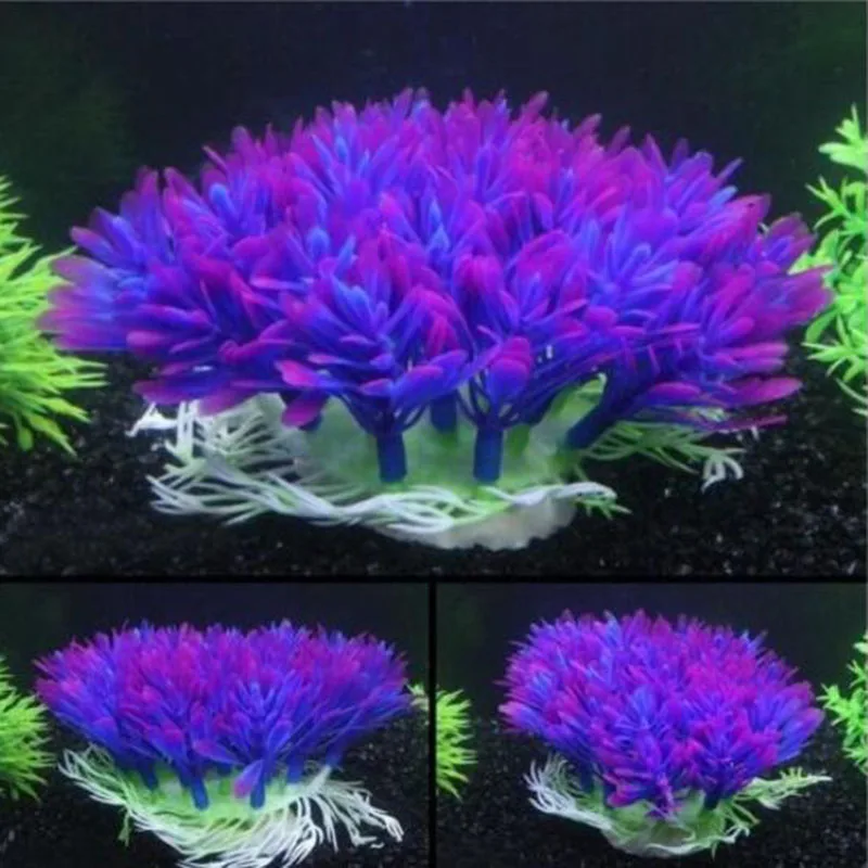 Kunstmatige brede korte aquari - Aquarium Fish Beautiful recensie en prijs