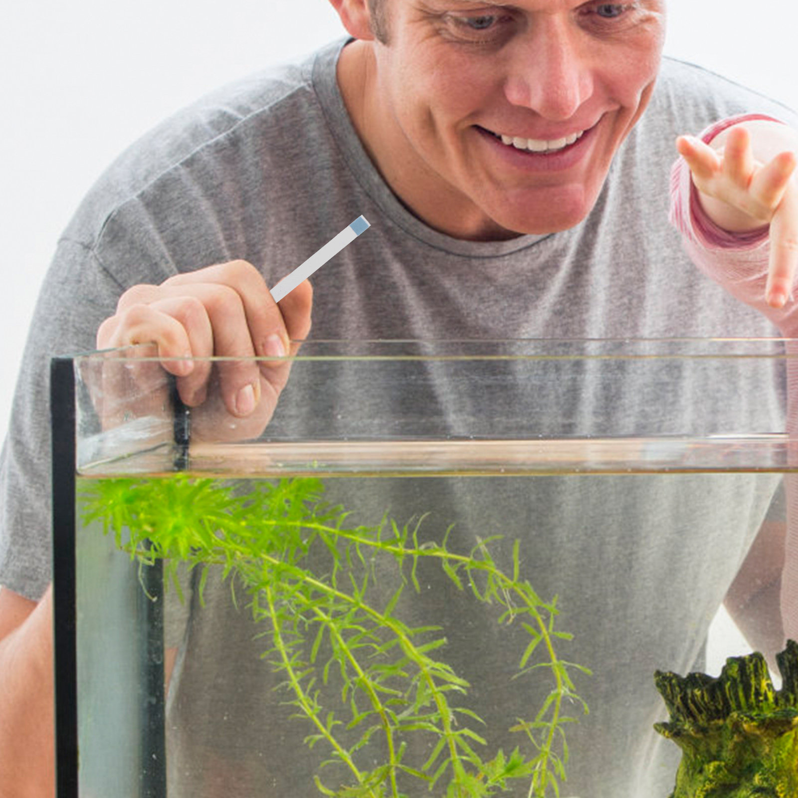 Zwembadteststrips, hot tub spa - Aquarium Fish In Pond recensie en prijs