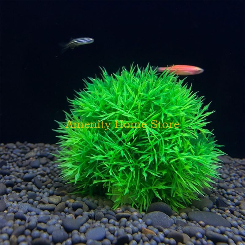 F26C Groene kunstmatige Marimo - Aquarium Fish Beautiful recensie en prijs