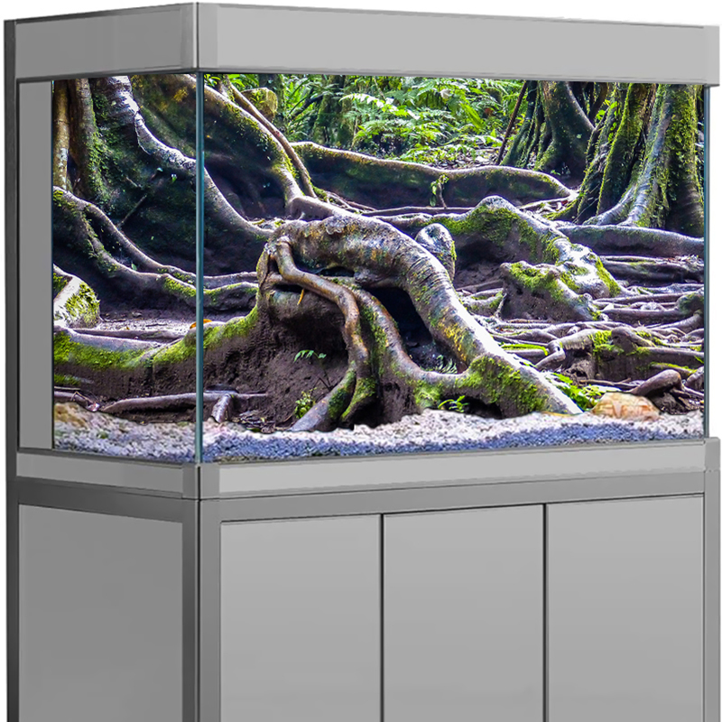 Visbakdecoratie Aquarium Achte - Aquarium Fish Cartoon recensie en prijs