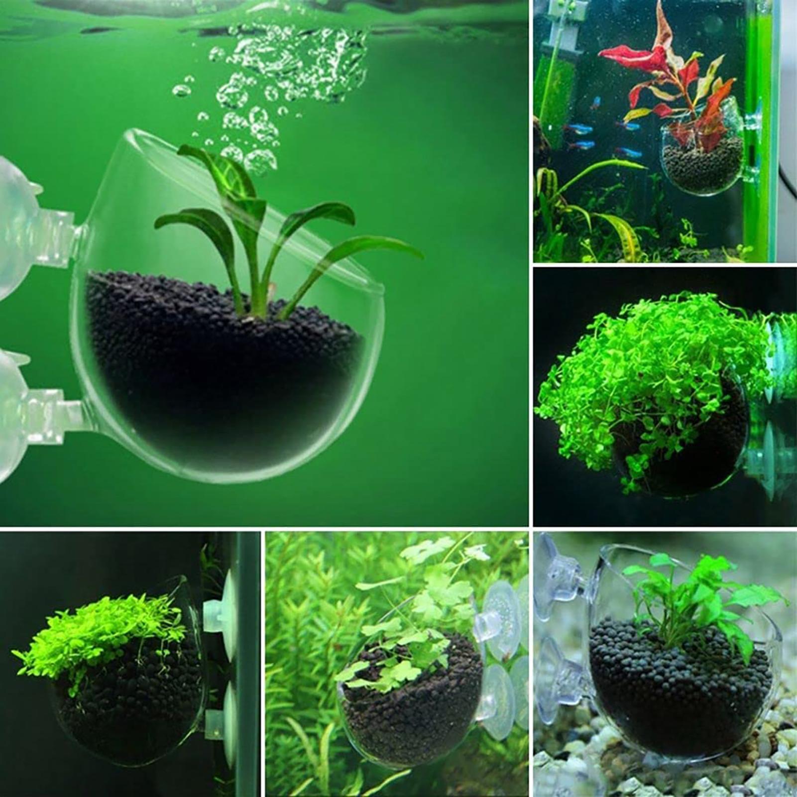 Aquariumdecoratie Plant Cup Po - Aquarium Fish Beautiful recensie en prijs